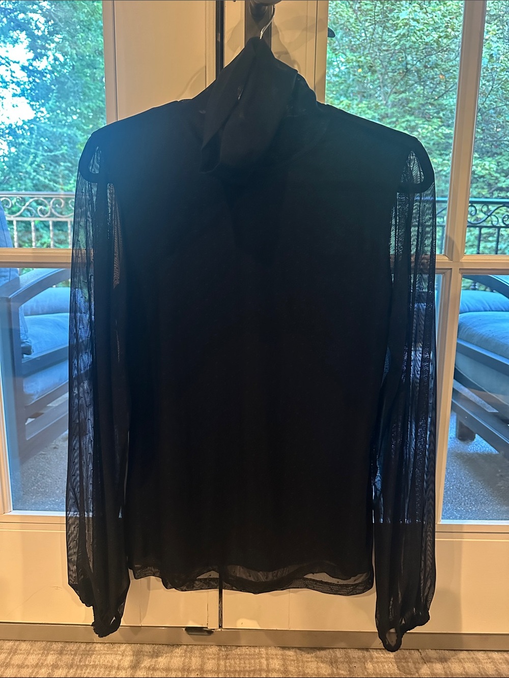 Sanctuary Black Sheer Mock Neck Long-Sleeve Top
